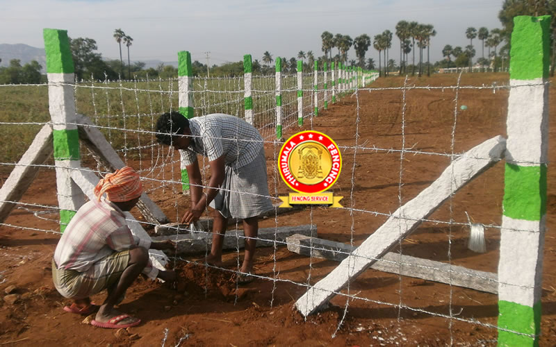 barbedwire-fencing-services-in-Chennai